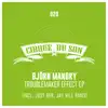 Björn Mandry - Troublemaker Effect